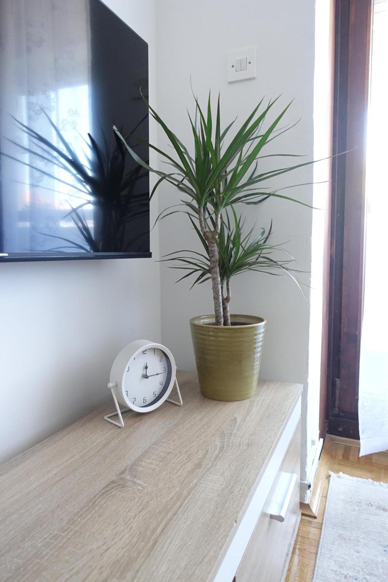Apartman Tamara Ζαντάρ Εξωτερικό φωτογραφία